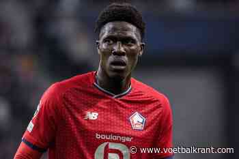 Kapitein van Belgische beloften belangrijk voor Lille in Beker van Frankrijk - Voetbalkrant.com