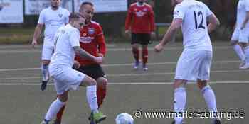 SC Marl-Hamm kontert Fenerbahce nach der Pause aus - Marler Zeitung