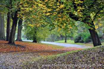 Dog-related incidents in Peel Park among local police priorities for Bolton and Undercliffe - Telegraph and Argus