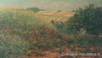 Ma*Ga, un gioiello culturale unico. Bellezza di casa a Gallarate - La Repubblica