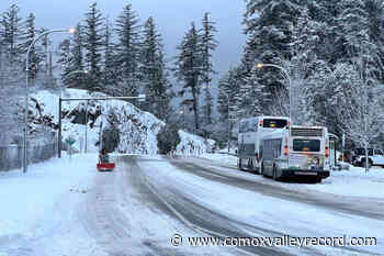 More snow inbound overnight for parts of Vancouver Island – Comox Valley Record - Comox Valley Record