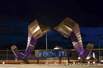 Radium collisions causing dwindling bighorn sheep population; overpass urged by expert - Comox Valley Record