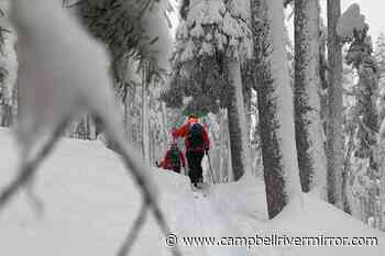 Comox Valley Search and Rescue conducts simultaneous searches – Campbell River Mirror - Campbell River Mirror