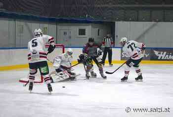SHARKS nach drei Siegen in Serie auf Jagd nach weiteren Punkten - Salzkammergut Zeitung