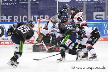 DEL-Torfestival: Straubing Tigers siegen 8:4 gegen Kölner Haie - Express.de