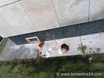 Bari, il cimitero tra topi e feci a ridosso delle tombe: "Senza rispetto per i nostri defunti" - Borderline24.com