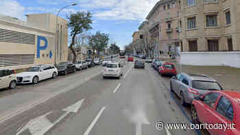 Albero cade sulla strada e colpisce auto: momenti di paura sul lungomare, nessun ferito - BariToday