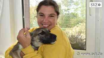 Tierschutz Ludwigslust-Parchim: Verwahrloste Hunde finden wohl bei Kerstin Nowitzke Aufnahme | svz.de - svz – Schweriner Volkszeitung