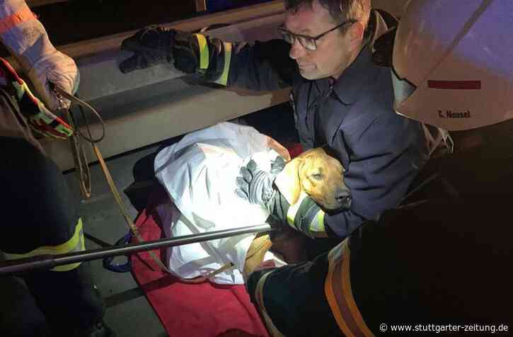 Nach Unfall bei Bad Hersfeld - Verschwundener Hund nach Tagen wieder aufgetaucht - Stuttgarter Zeitung