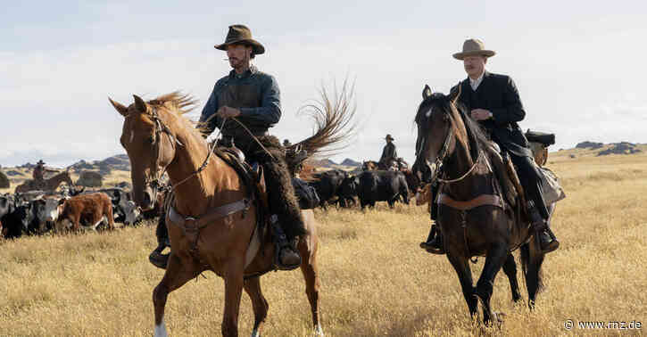 Heidelberg:  Western-Drama "The Power of the Dog" im Karlstorkino