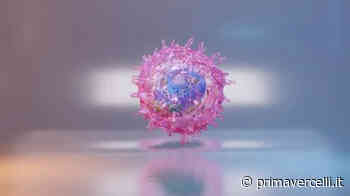 Covid Vercelli: 88 nuovi casi e 24 guariti - Prima Vercelli