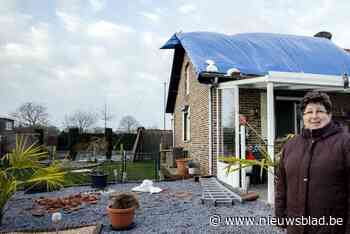 Kinrooi en Maaseik meten schade op na hevige valwind: “Dak hing twee seconden in de lucht”