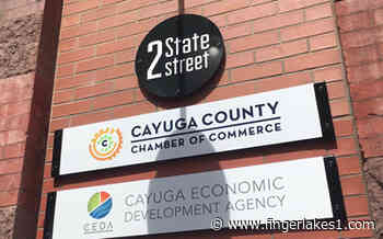 Cayuga Strategic Solutions searching for a new CEO - FingerLakes1.com