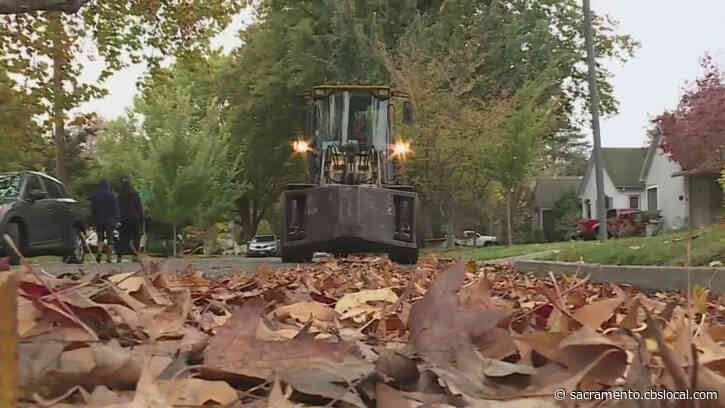 Frustrations Grow As Crews Fall Behind On Clearing Foliage From Sacramento Streets