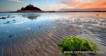 Revelations about Cornwall that had us howling with laughter this year - Cornwall Live