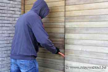 Dieven stelen etenswaren uit bergplaats achter woning
