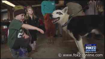 Mushers, Fans Kick Off Beargrease Marathon Month with Bent Paddle Beer Release - FOX 21 Online