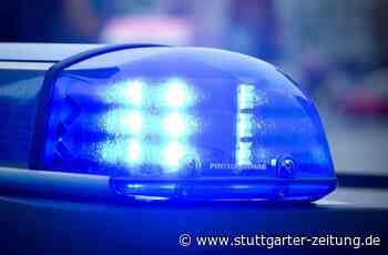 Polizei in Mannheim - Unbekannte brechen erneut in eine Schule ein - Stuttgarter Zeitung