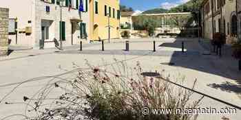 Cantaron se positionne pour le maintien de la ligne Nice-Tende "absolument indispensable" - Nice-Matin