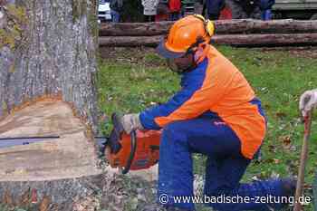 Der Breisacher Stadtwald hat seinen Preis - Breisach - Badische Zeitung