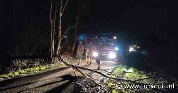 Brandweer rukt uit voor stormschade in Rijssen, maar gevallen boom blijkt bewuste actie - Tubantia
