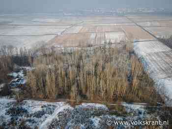 Boom voor boom wil Piëmont de groene longen van Italië herstellen - Volkskrant
