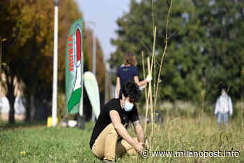 L’Autodromo Nazionale Monza tutela i boschi del Parco con un progetto da 160mila euro - MilanoPost