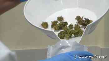Hundreds line up to buy flower-based smokable medical marijuana in Baton Rouge - WAFB