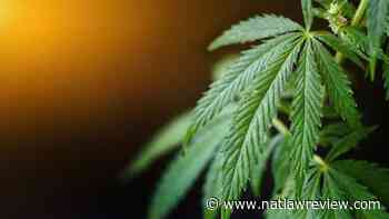 Mississippi Lawmakers on Medical Marijuana Front for 2022 Legislative Session - The National Law Review