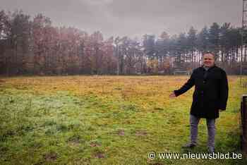 Voetbalveld Korspel wordt bos (Beringen) - nieuwsblad.be