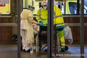 Man die voetgangers aanreed in Beringen verdacht van alcoholintoxicatie en poging doodslag - nieuwsblad.be