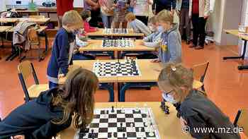Hort der Kollwitz-Schule in Wittenberg ist im Schach-Fieber - Mitteldeutsche Zeitung