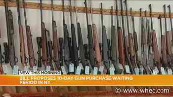 Proposed bill for 10-day waiting period after purchase of gun