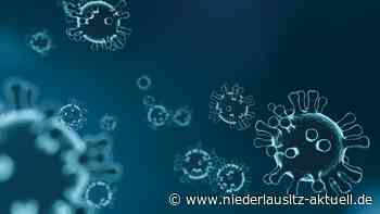 Familienimpftag in Guben steht bevor - Niederlausitz Aktuell - NIEDERLAUSITZ aktuell