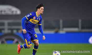 Sampdoria, contatti avviati col Parma per Man | Mercato | Calciomercato.com - Calciomercato.com