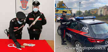 Parma, arrestato pusher con droga pronta allo smercio - OglioPoNews - OglioPoNews