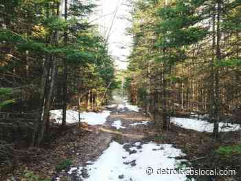 Michigan DNR Reaches Deal On Trail Grooming In Southeastern Upper Peninsula - CBS Detroit