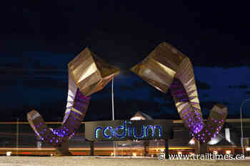 Radium collisions causing dwindling bighorn sheep population; overpass urged by expert - Trail Times