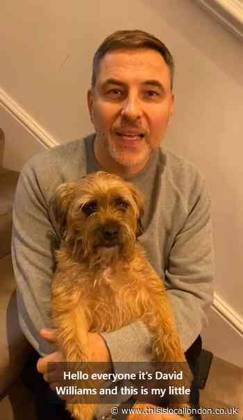 David Walliams salutes 3Food4U volunteers in video message