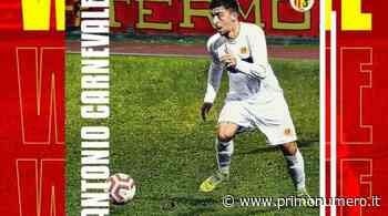 Il Termoli si muove sul mercato, ingaggiato il centrocampista Carnevale - Primonumero