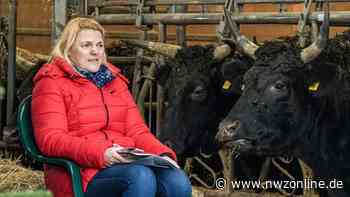 Weitere Impftage auf dem Wagyu-Hof: Am Wochenende wird Moderna gespritzt - Nordwest-Zeitung