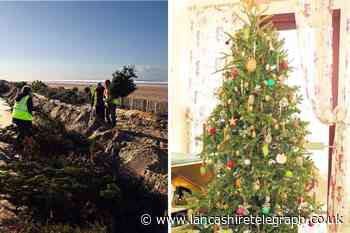 How to dispose of your real Christmas tree in Lancashire