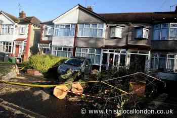 Chingford man's lucky escape after tree fell on house ten years ago