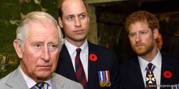 Prince Charles Says He's 'Proud' of Prince William & Prince Harry in New Essay About Climate Change
