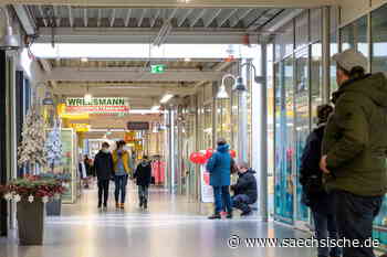 Riesa: "Es wird Veränderungen im Riesapark geben" - Sächsische.de