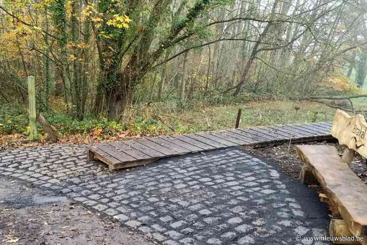 Burreken krijgt vlonderpad