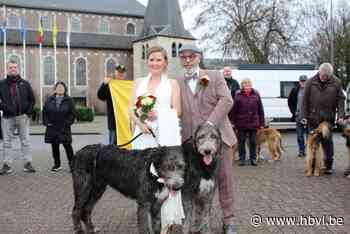 Pas getrouwd: Evy en Pascal in Zonhoven - Het Belang van Limburg