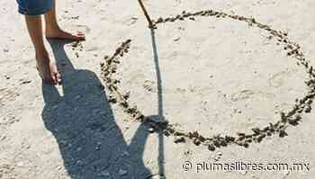 Los 12 pasos - plumas libres