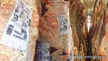 Carne: dirigentes reclaman "exportaciones libres" y cuestionan la "omnipresencia" del Estado en el sector - ámbito.com