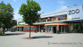 Besuchereinbruch beim Zoo - dennoch Hoffnung - Radio Dresden